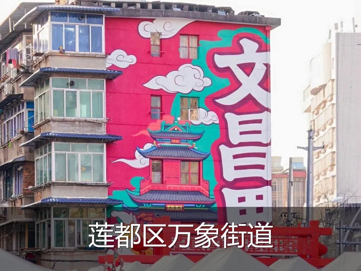 莲都区万象街道