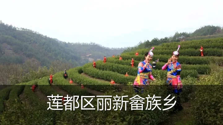 莲都区丽新畲族乡
