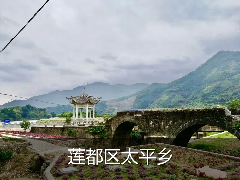 莲都区太平乡