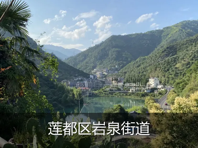 莲都区岩泉街道