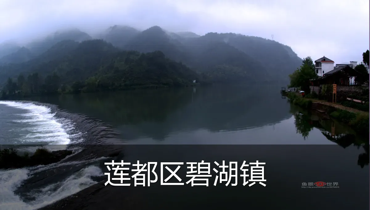 莲都区碧湖镇