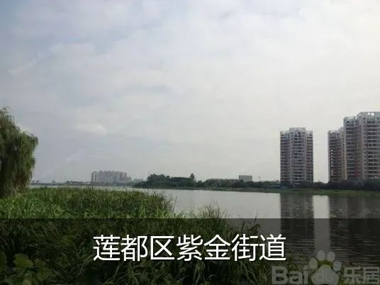 莲都区紫金街道