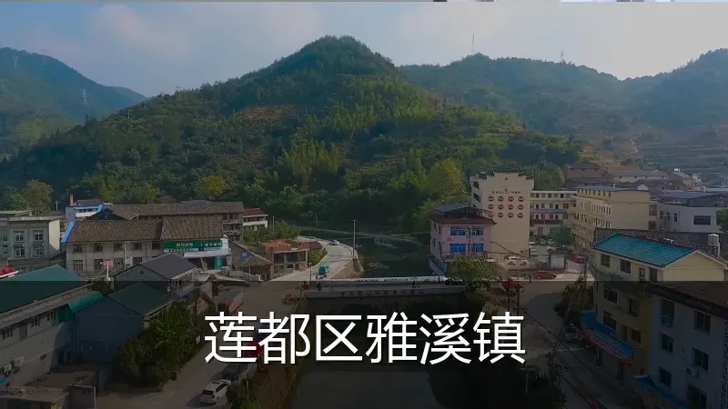莲都区雅溪镇