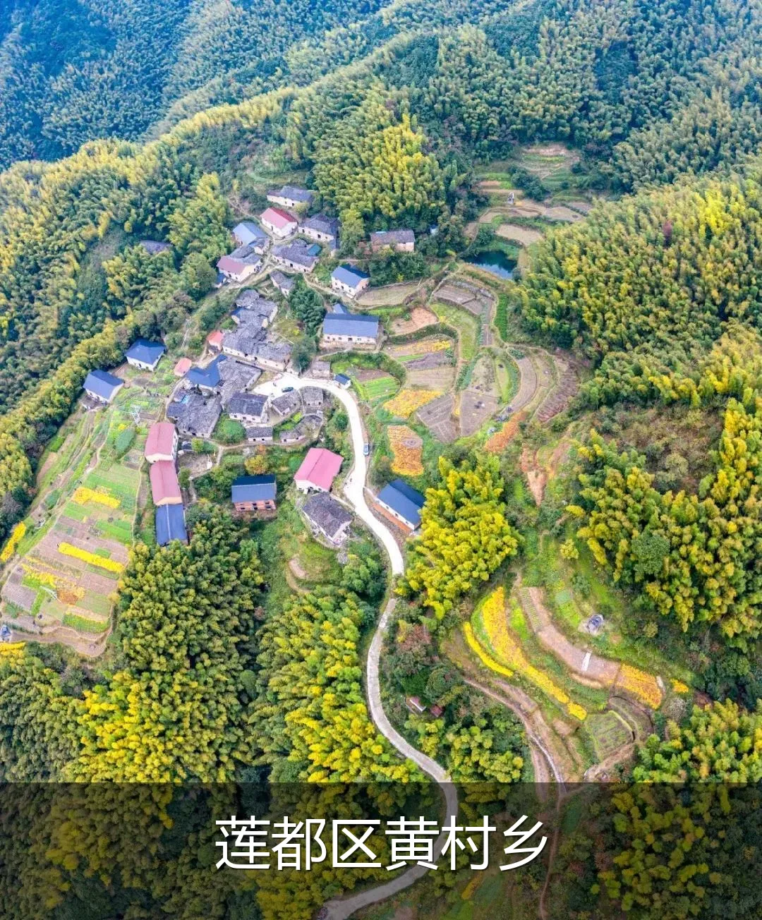 莲都区黄村乡