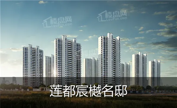 莲都宸樾名邸