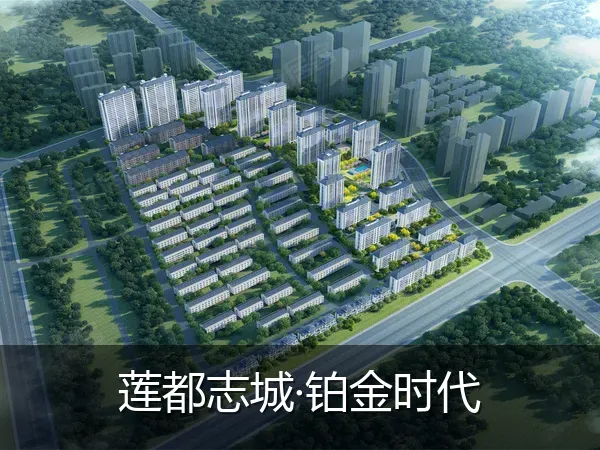 莲都志城·铂金时代