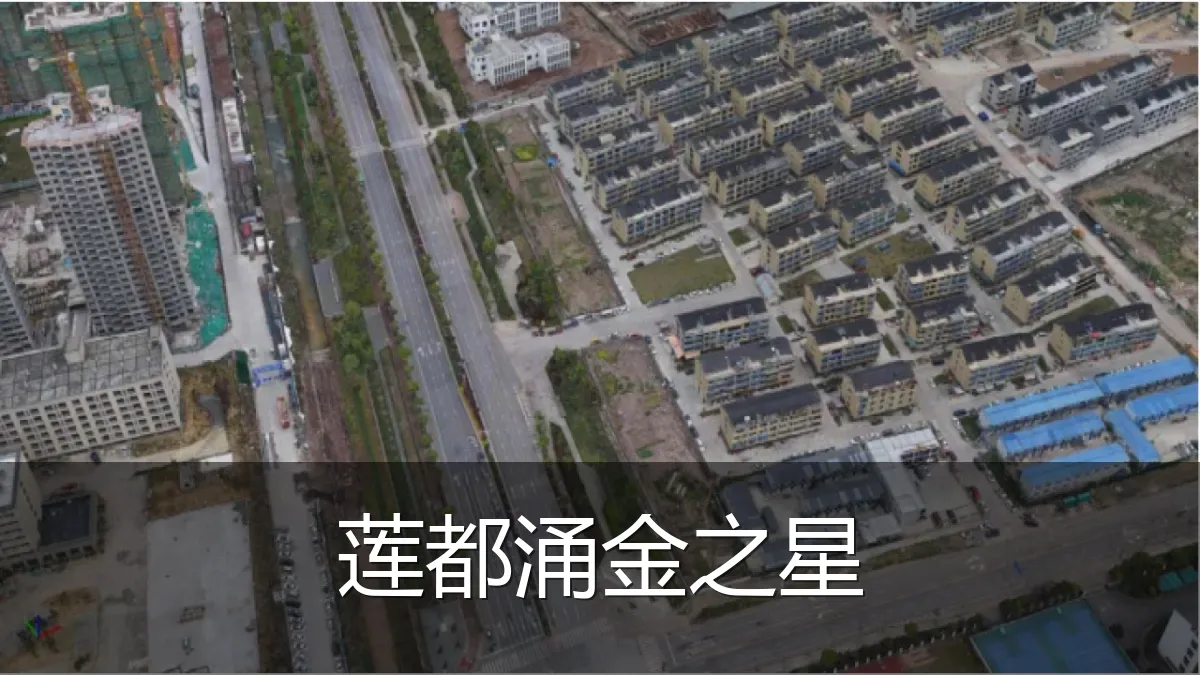 莲都涌金之星